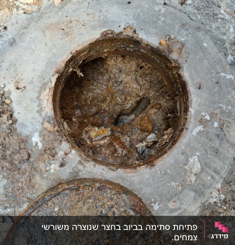 פתח ביוב פתוח עם מכסה מונח בצד